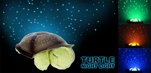 Turtle-Night-Sky-Constellations-L.jpg